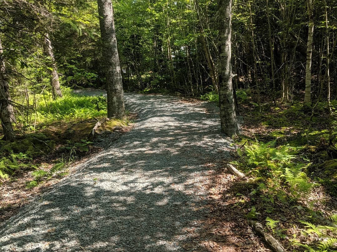 Dollar Lake Provincial Park景点图片