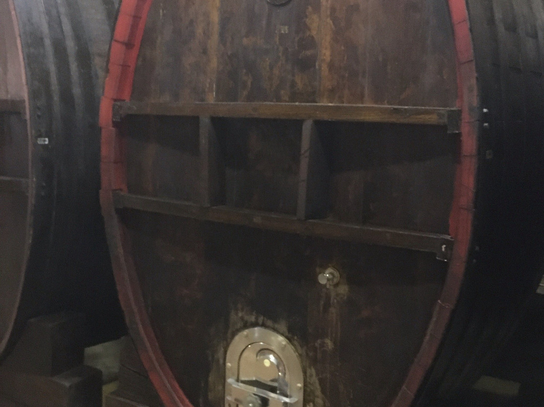 Tikves Winery-Kavadarci必去景点
