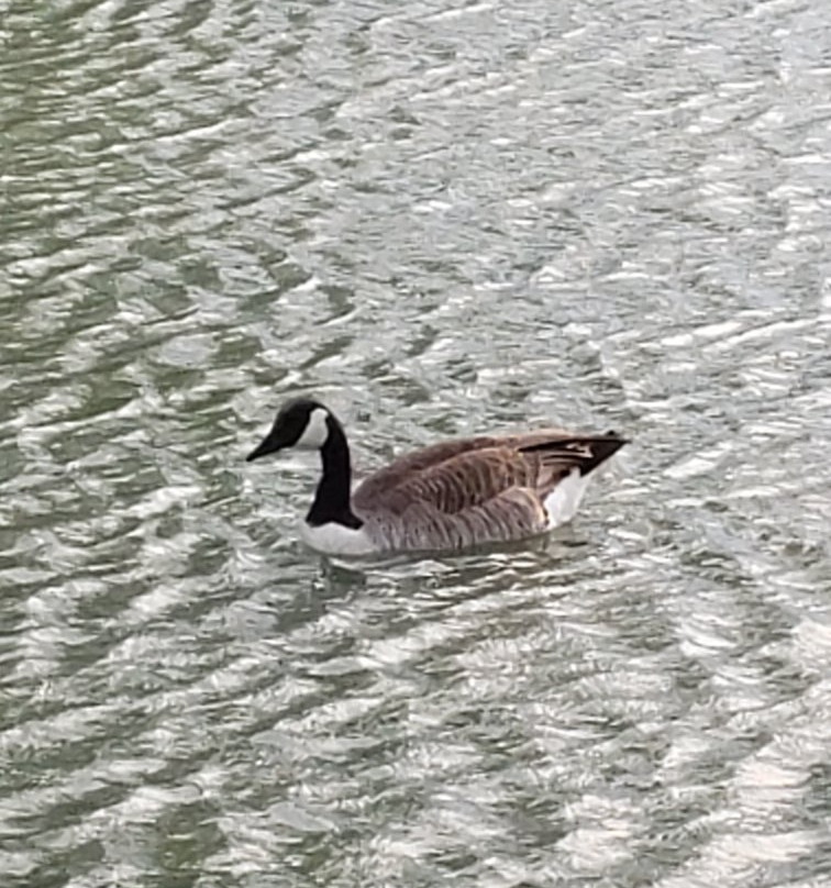 Heron Haven-奥马哈必去景点
