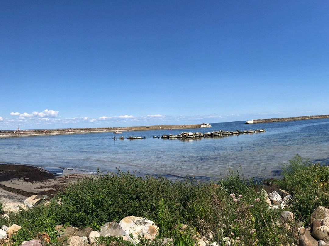 Kivik Harbour-Kivik必去景点