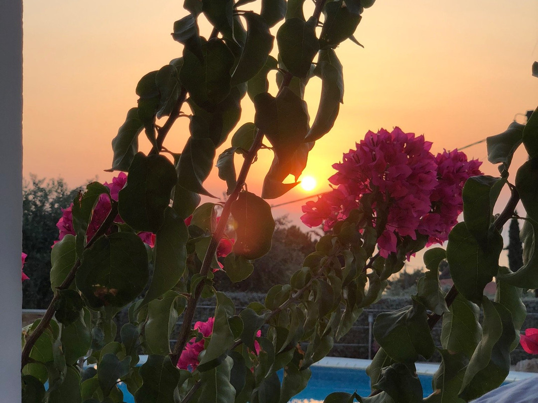 The Boutique Louloudis主图