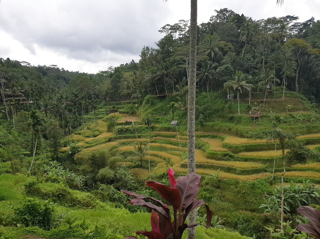 Mount Batur Trekking Agency-水明漾必去景点