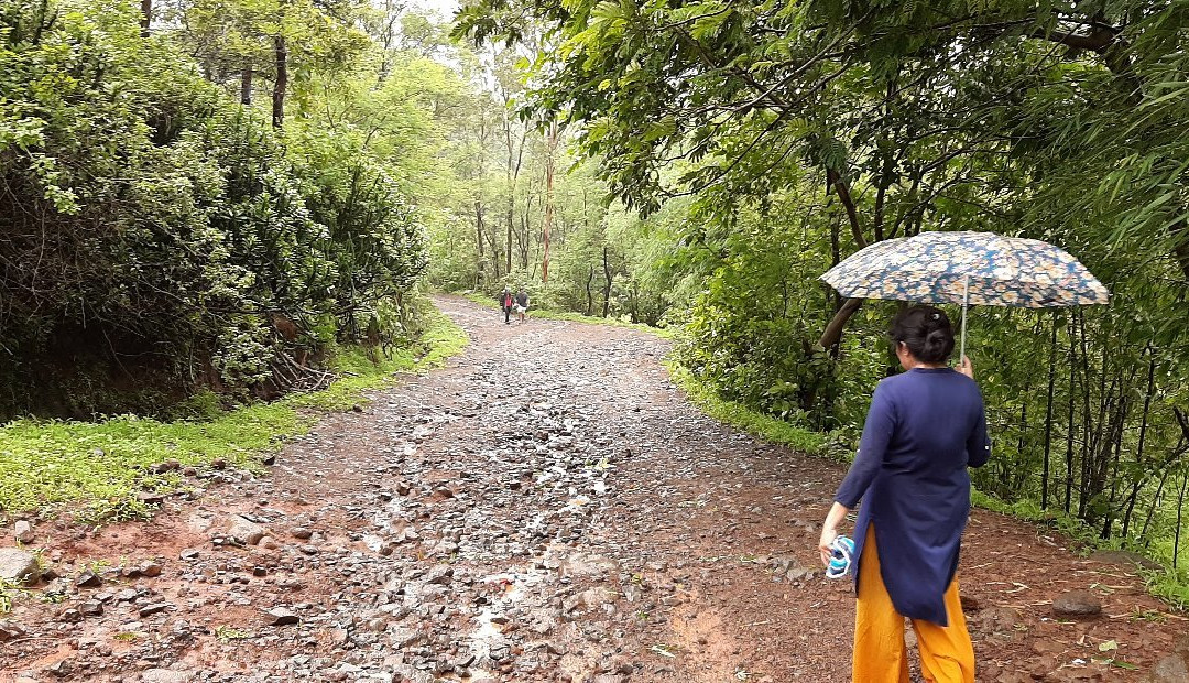 Bilpudi Mavli Mata Waterfall-Barumal必去景点