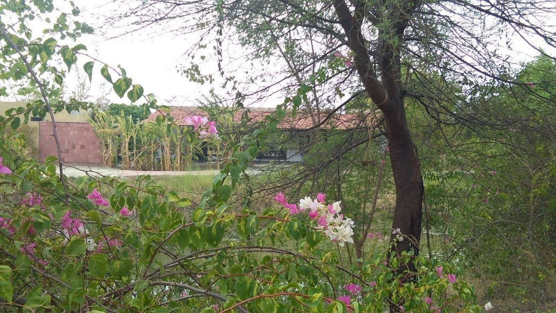 Mahua Tola Resort主图