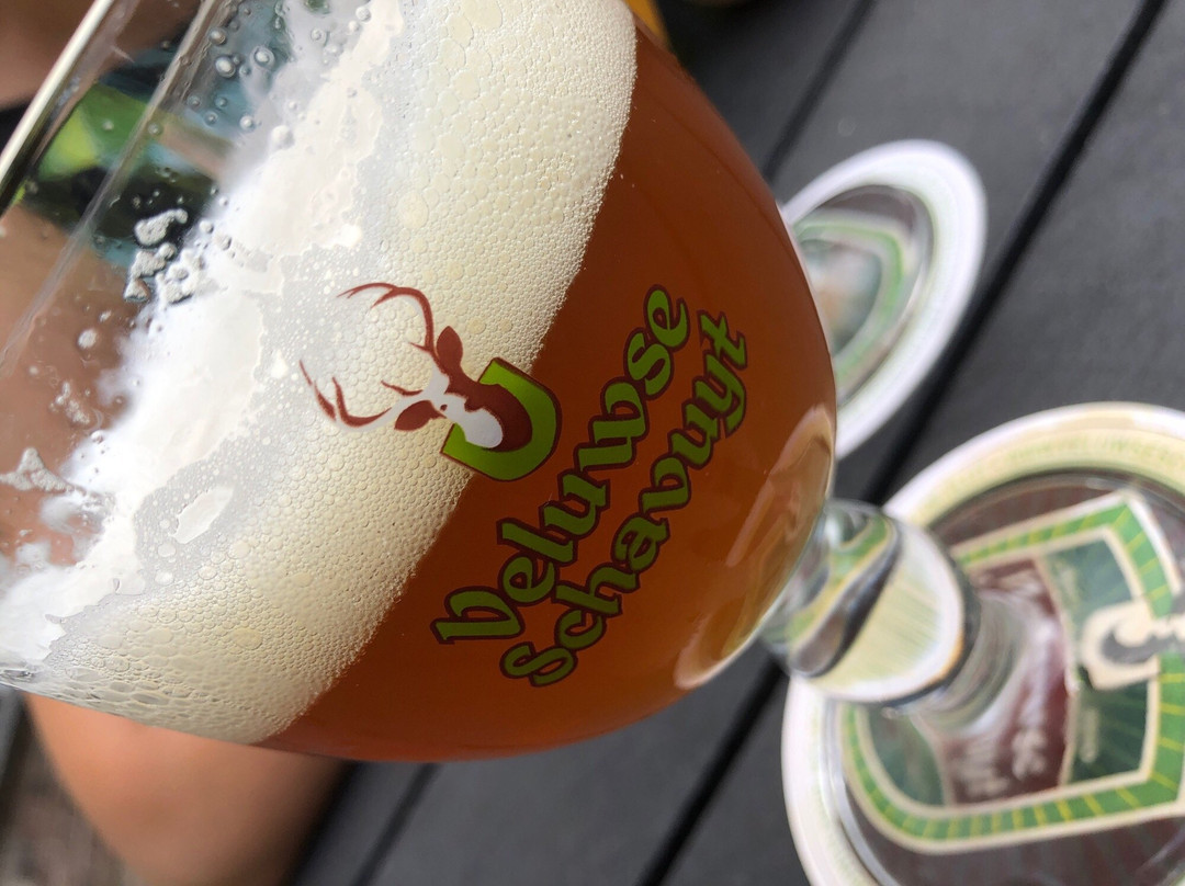 Bierbrouwerij De Vlijt-阿珀尔多伦必去景点