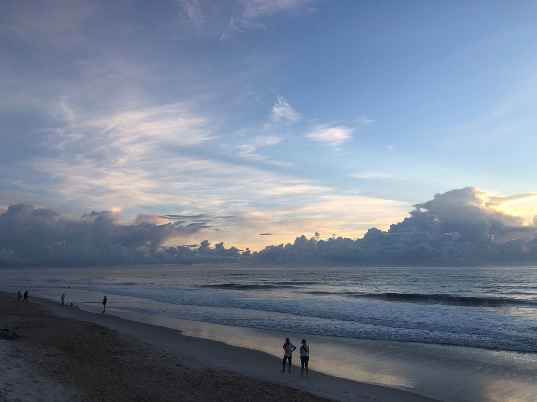 Jungle Hut Park-棕榈海岸必去景点