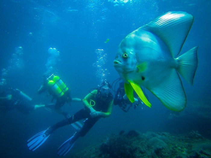Al Marsa Musandam-Dibba Al Bay Ah必去景点