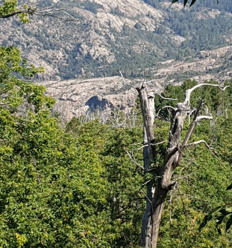 Sentier du Châtaignier景点图片