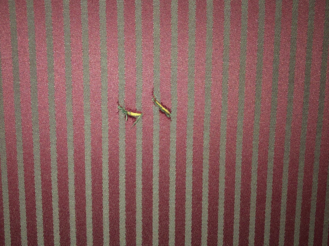 Best Western Plus Waco North主图