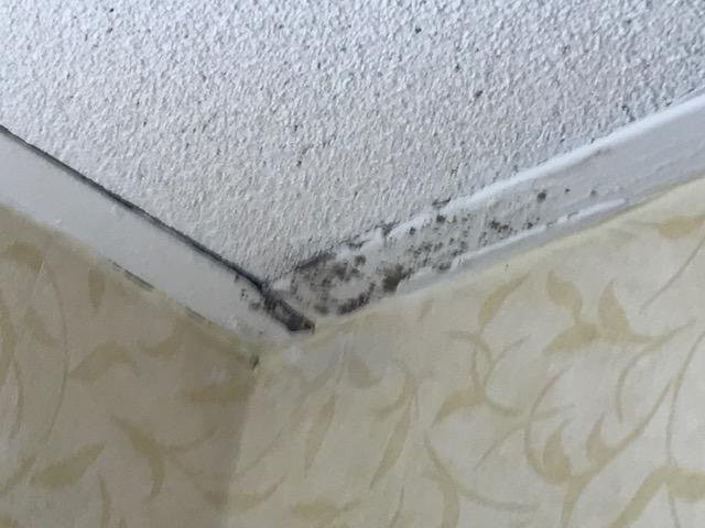 Quality Inn & Suites主图