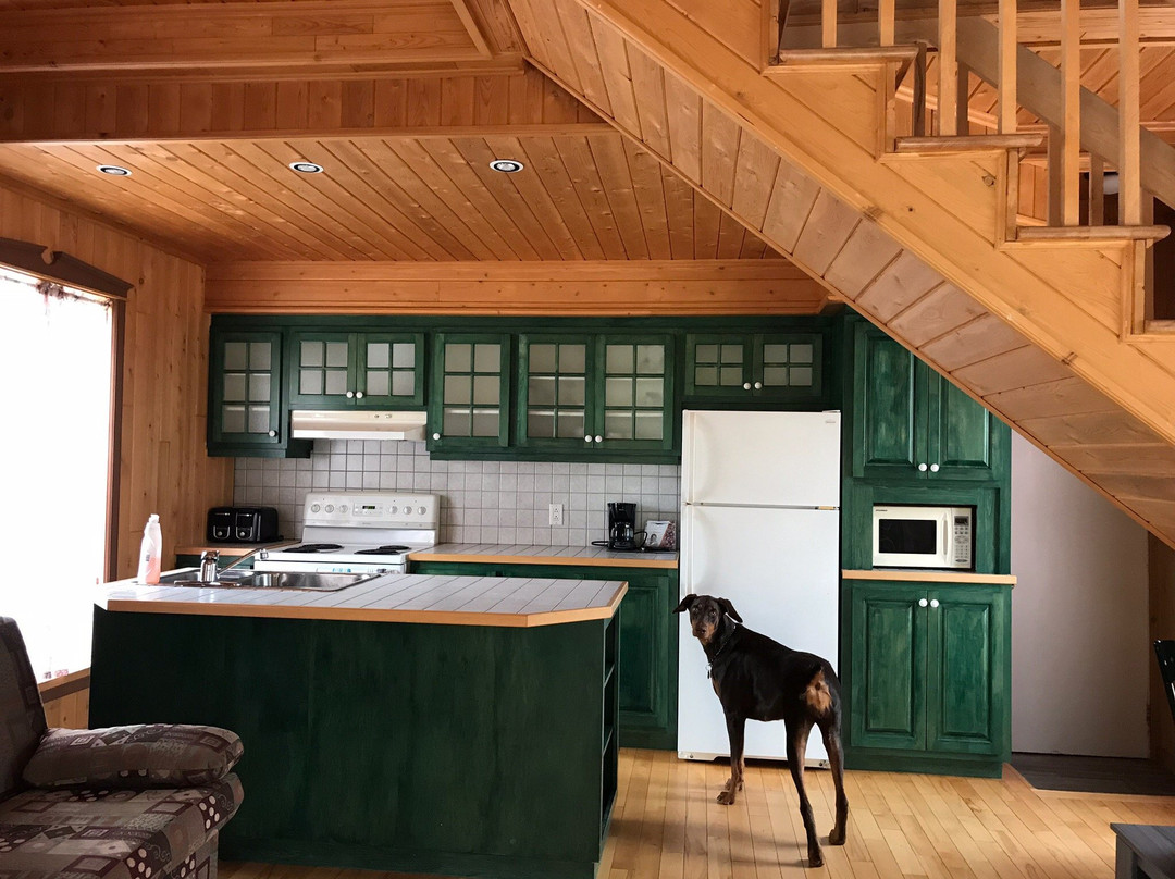 Hotel Motel Fleur de Lys主图