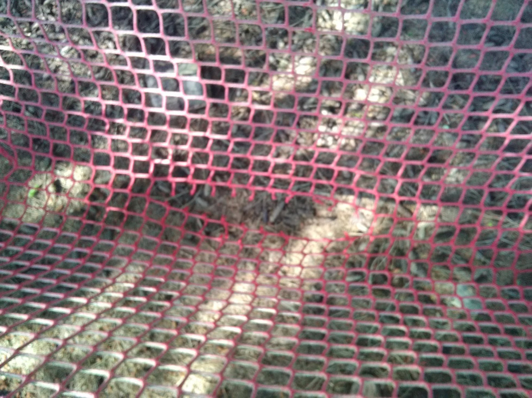 Hagland Natural Park景点图片