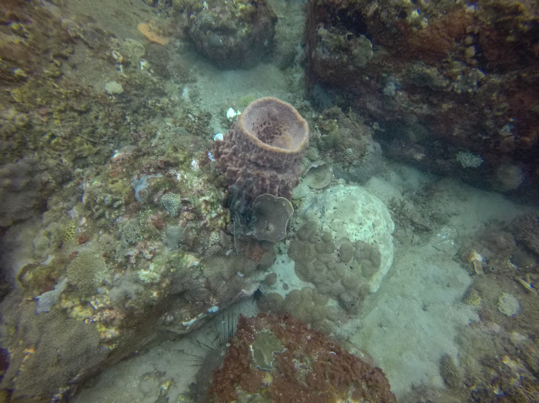 Divinguru Trincomalee-Trincomalee必去景点