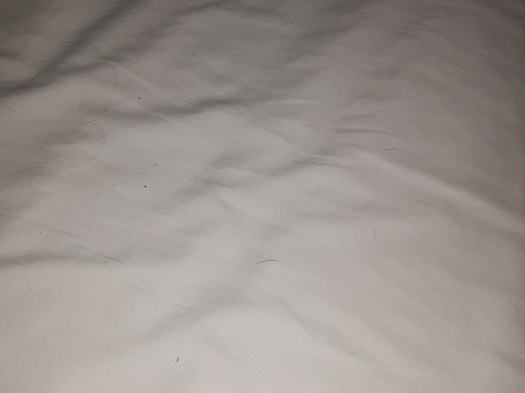 Days Inn by Wyndham Dublin GA主图