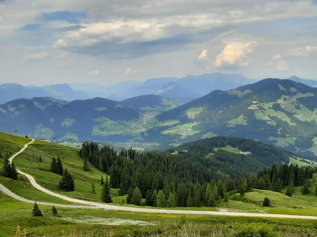 Traditionsgasthof Weißbacher主图