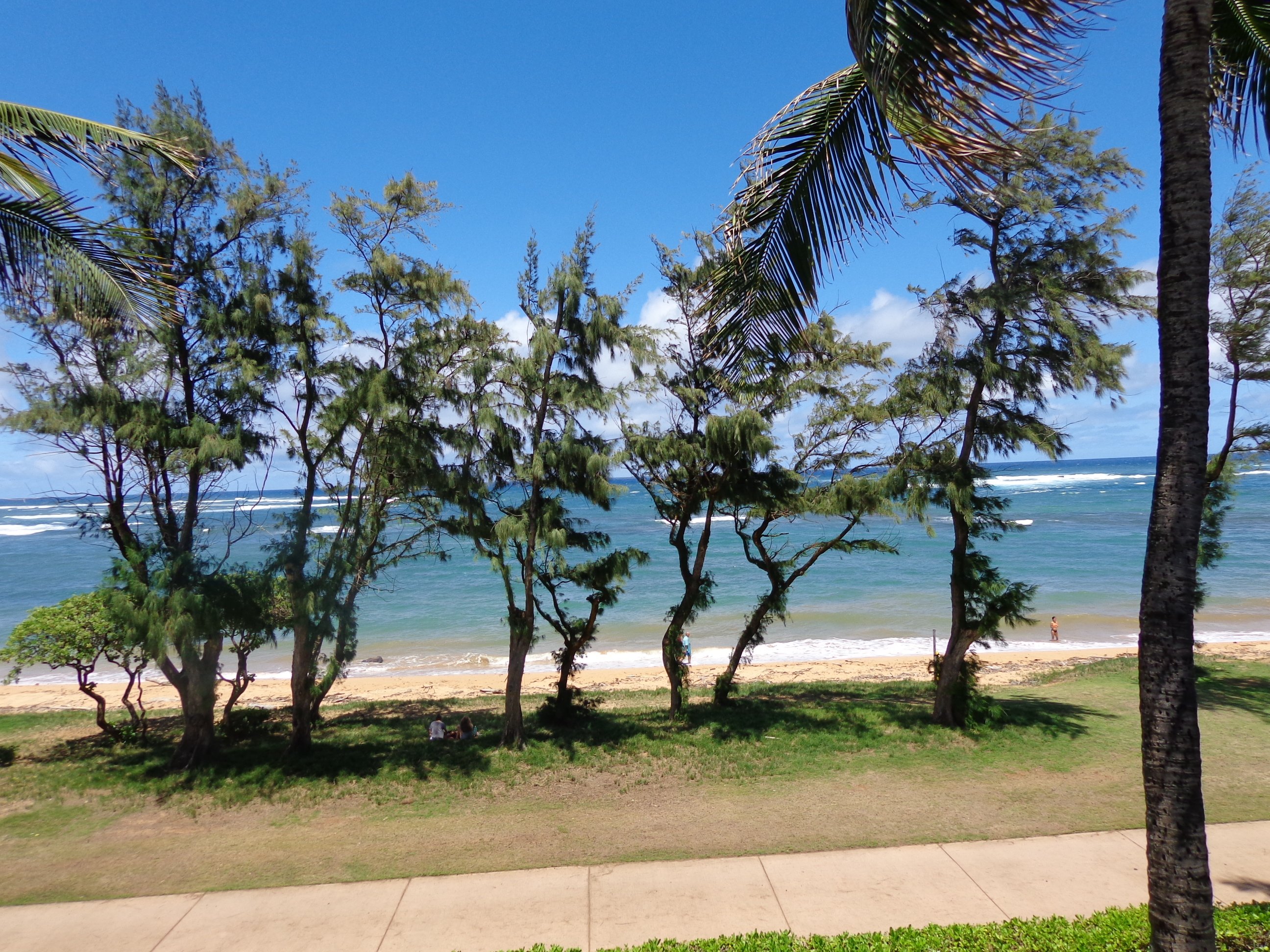 Bluegreen Pono Kai Resort-泳池