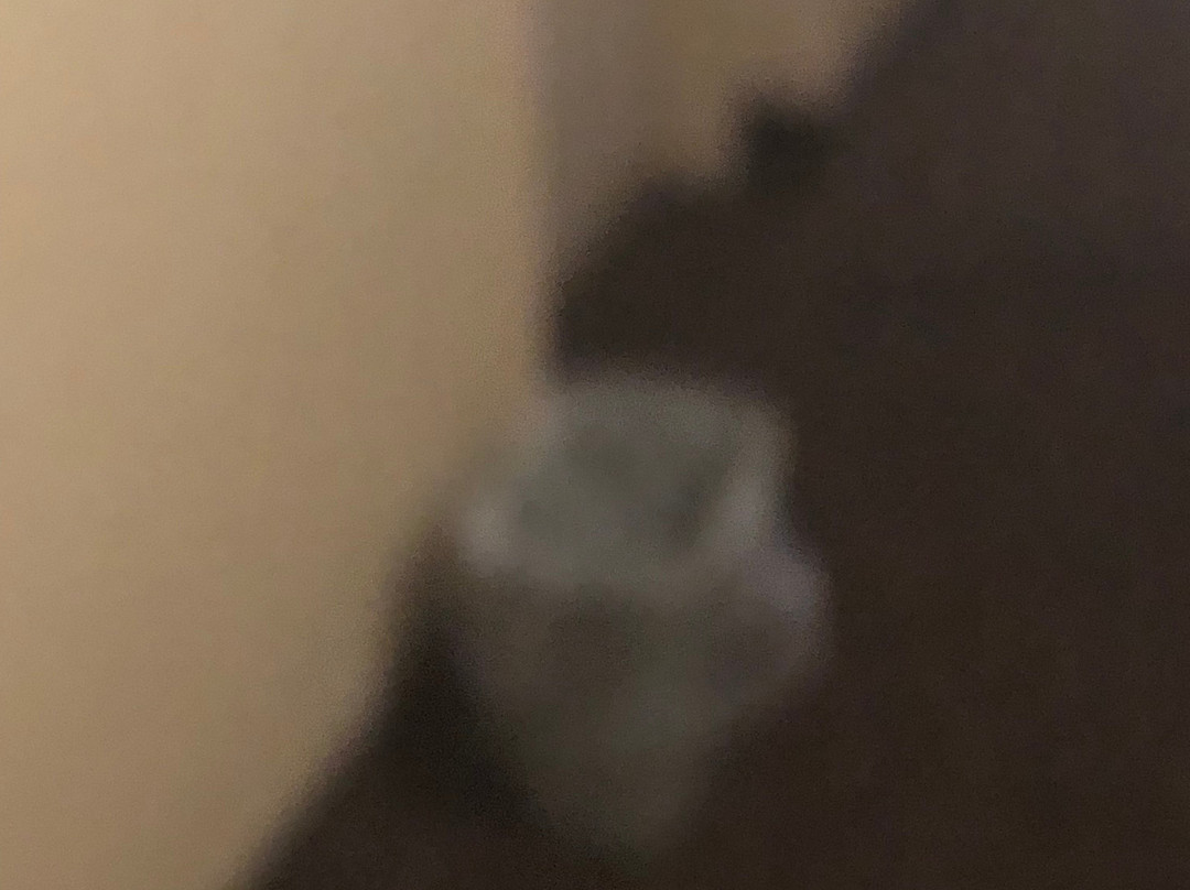 Extended Stay America - Orlando - Altamonte Springs主图