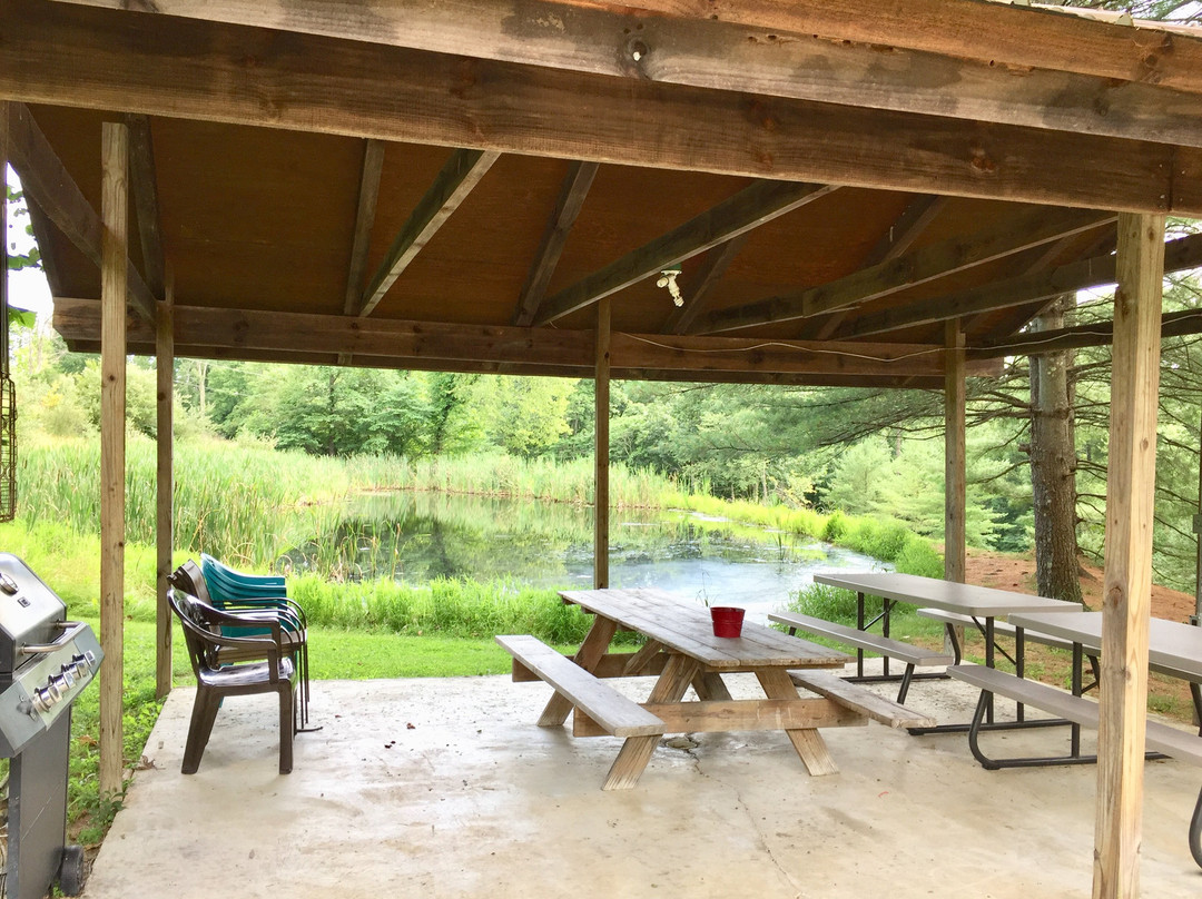 Bear Run Inn Cabins & Cottages主图