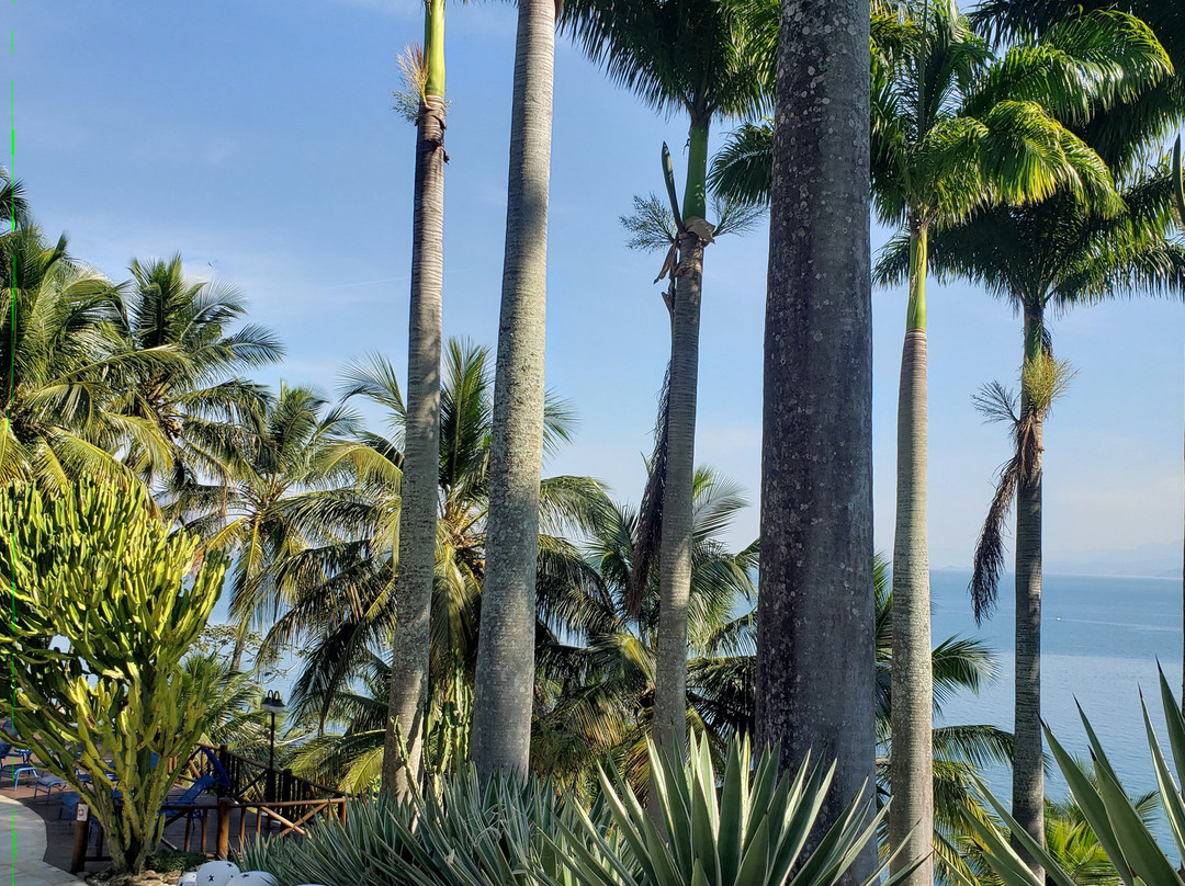 Solar Singuitta主图