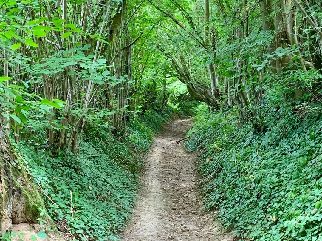 Prehistoric Flint Mines at Rijckholt-St.Geertruid景点图片