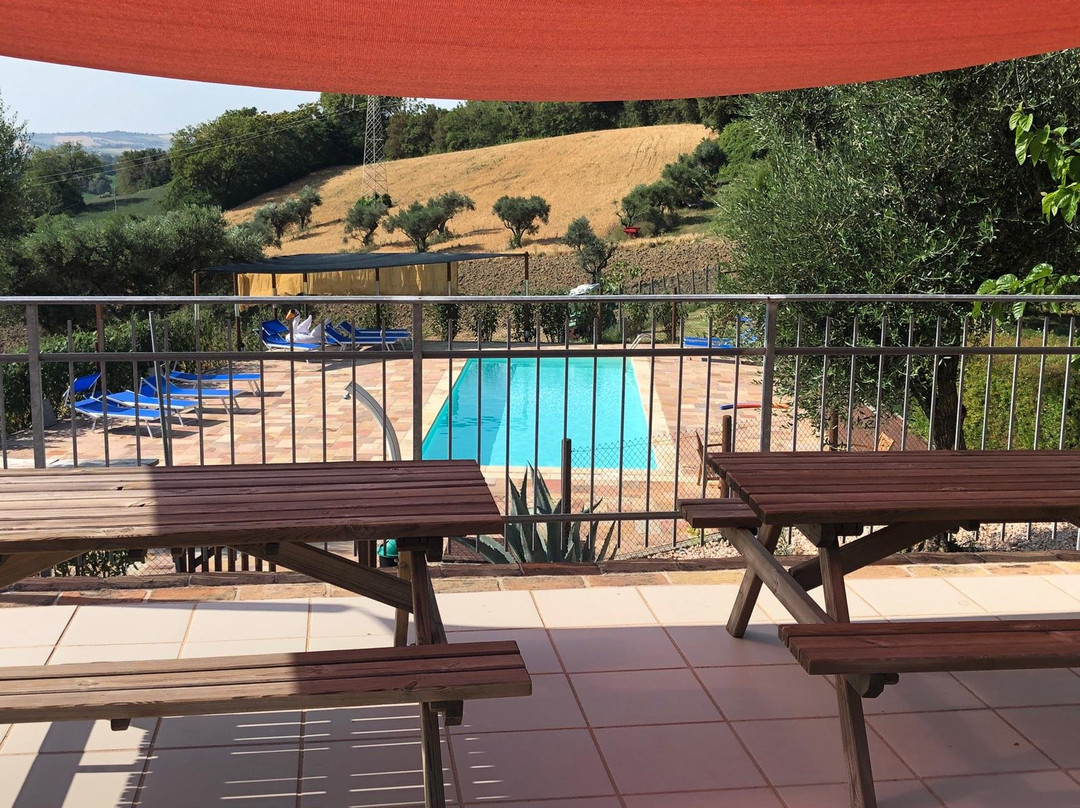 Agriturismo Il Vecchio Scornabecco主图