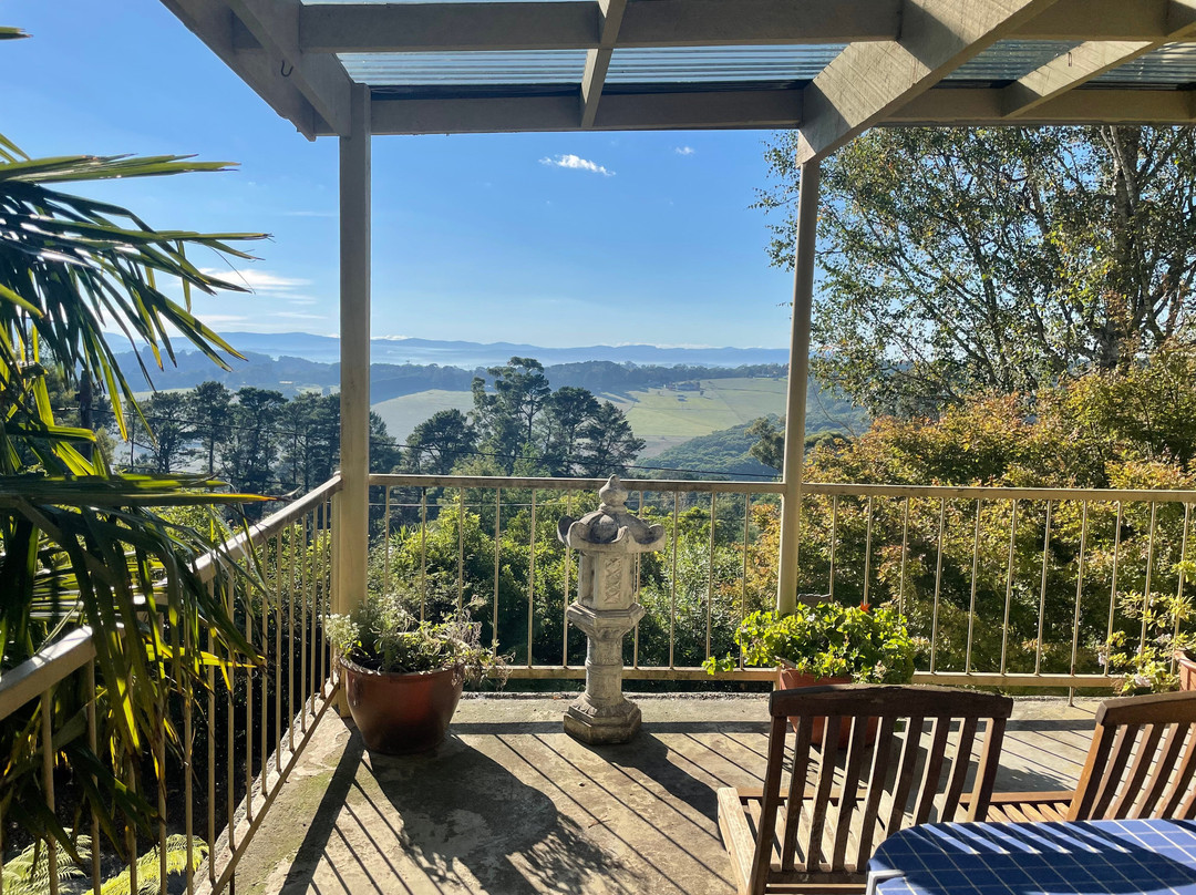 Billy Button B&B