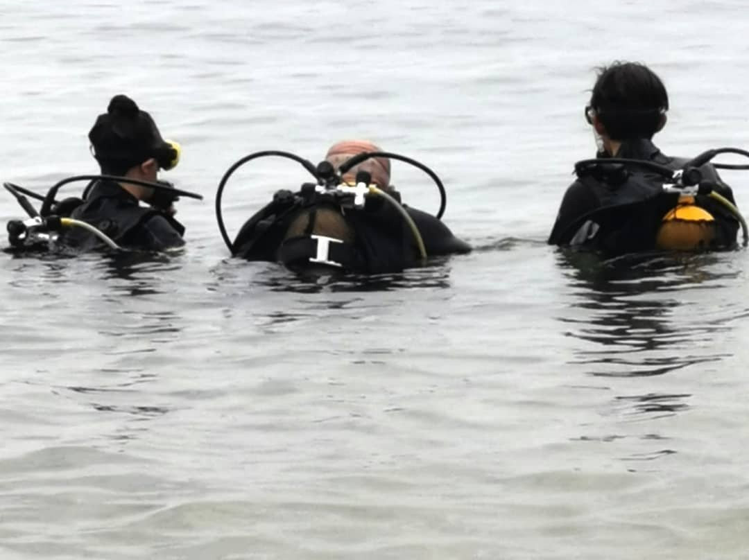 Harry's Diving Center-金沙必去景点