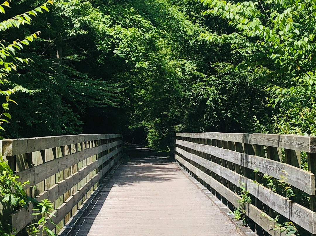 Blue Blaze Bicycle & Shuttle Service-Damascus必去景点