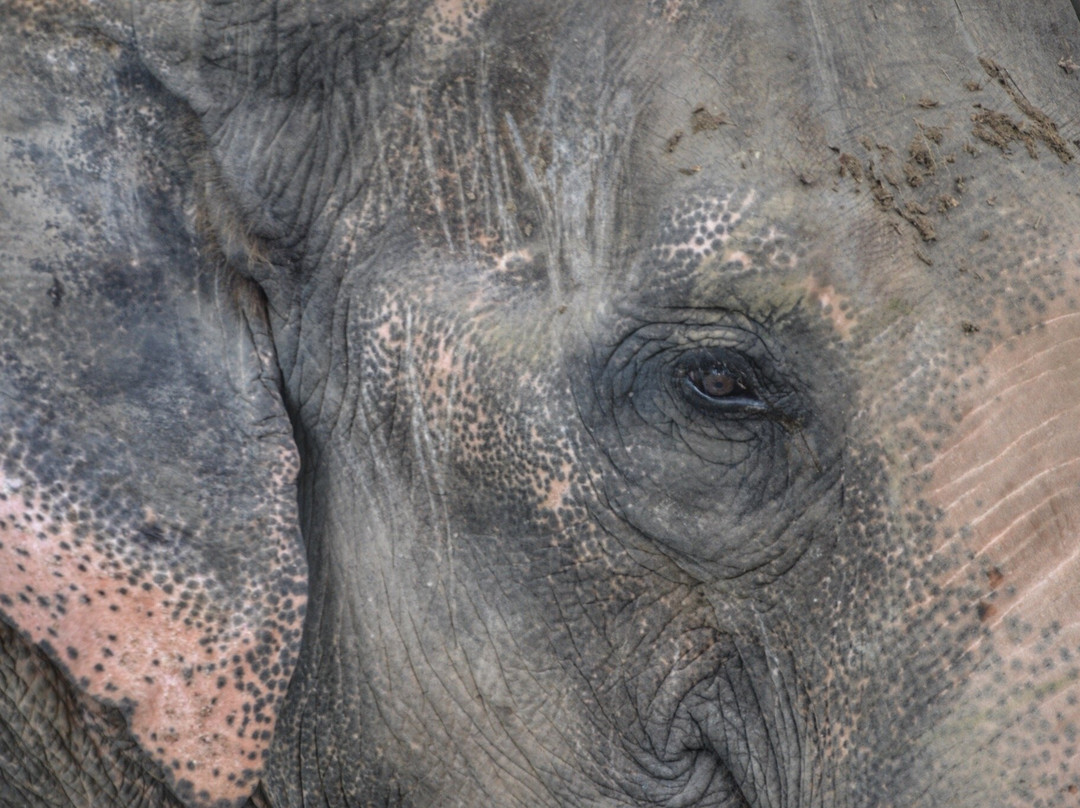 The SU4E Home-苏拉哈必去景点