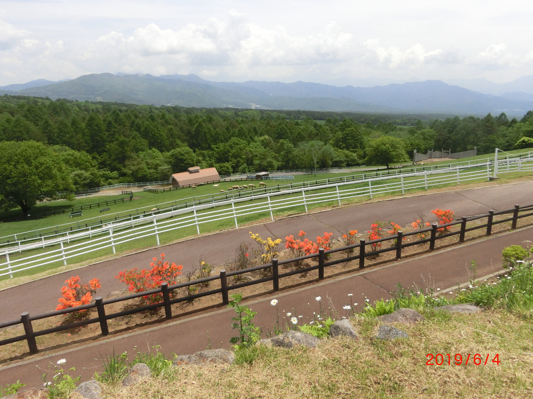Makiba Park景点图片
