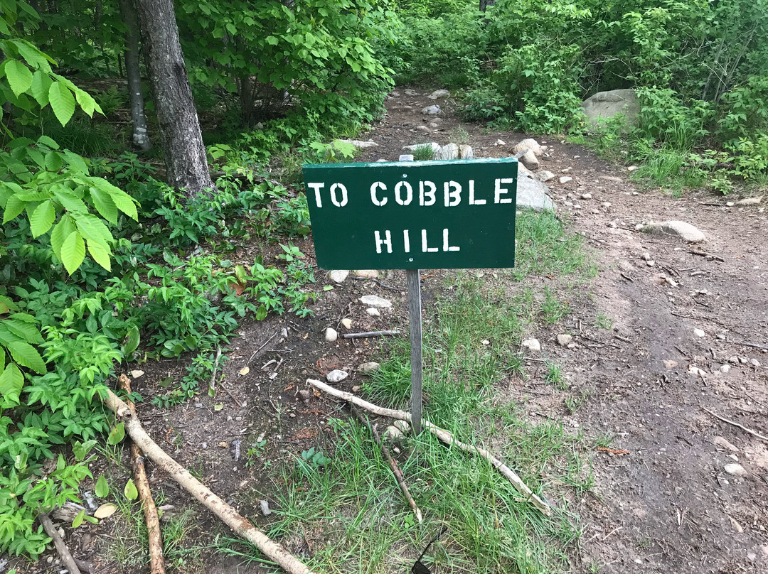 Cobble Hill景点图片
