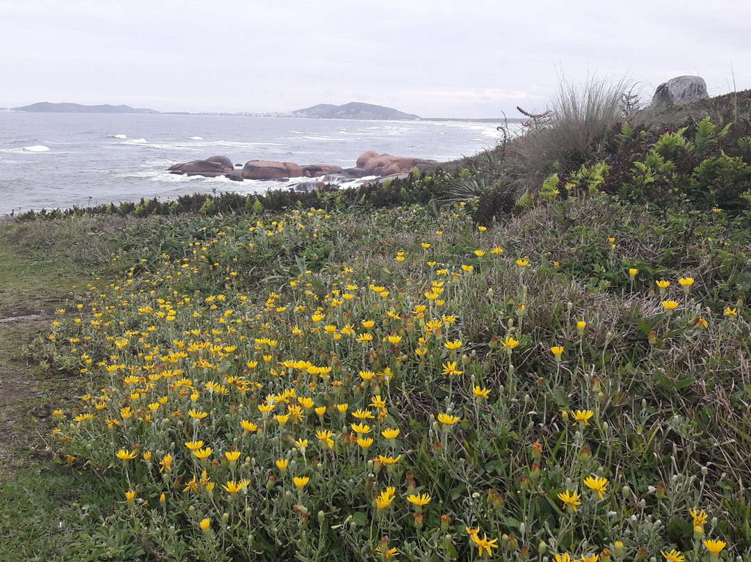 Gi Beach景点图片