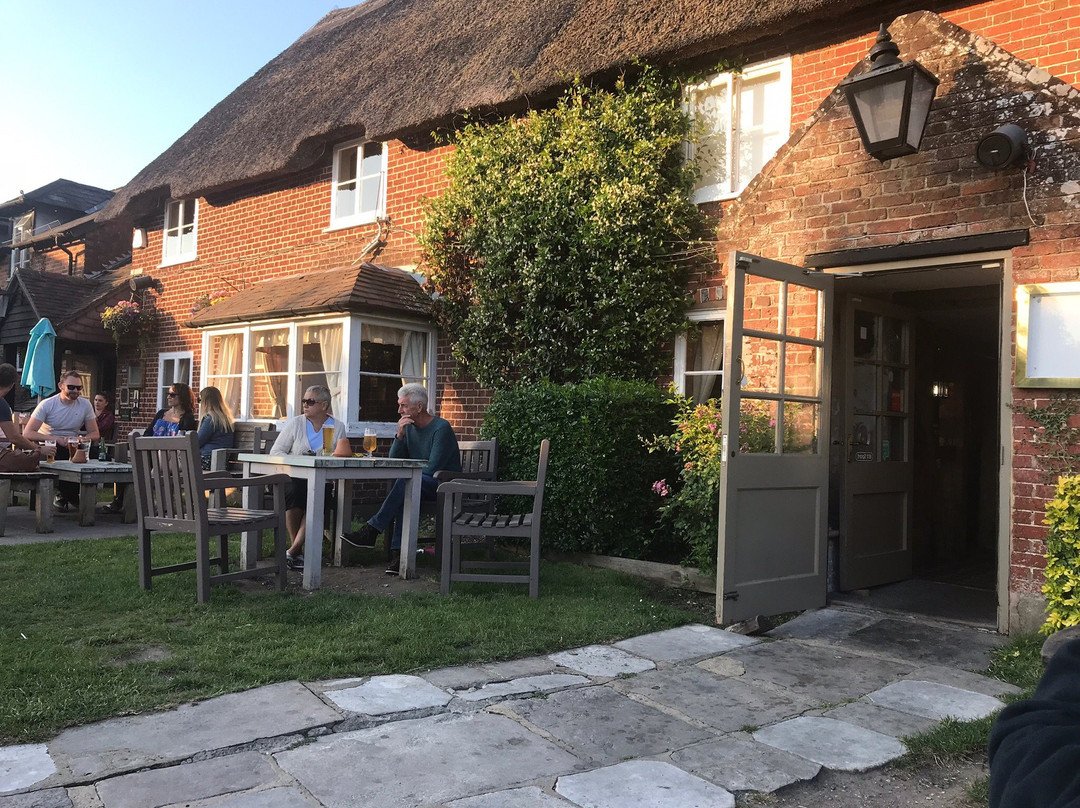 The Elm Tree