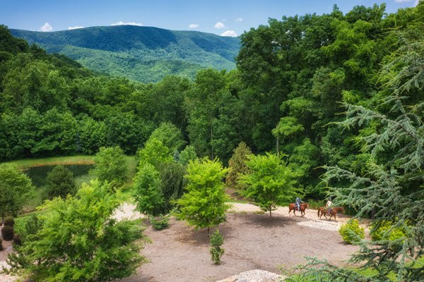 House Mountain Inn主图