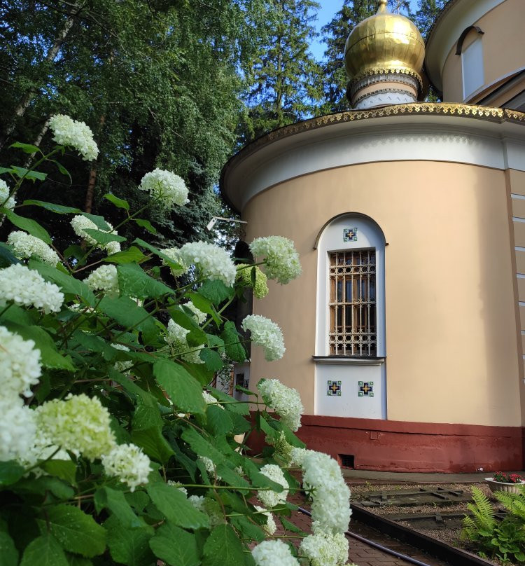 Church of the Annunciation of the Blessed Virgin景点图片