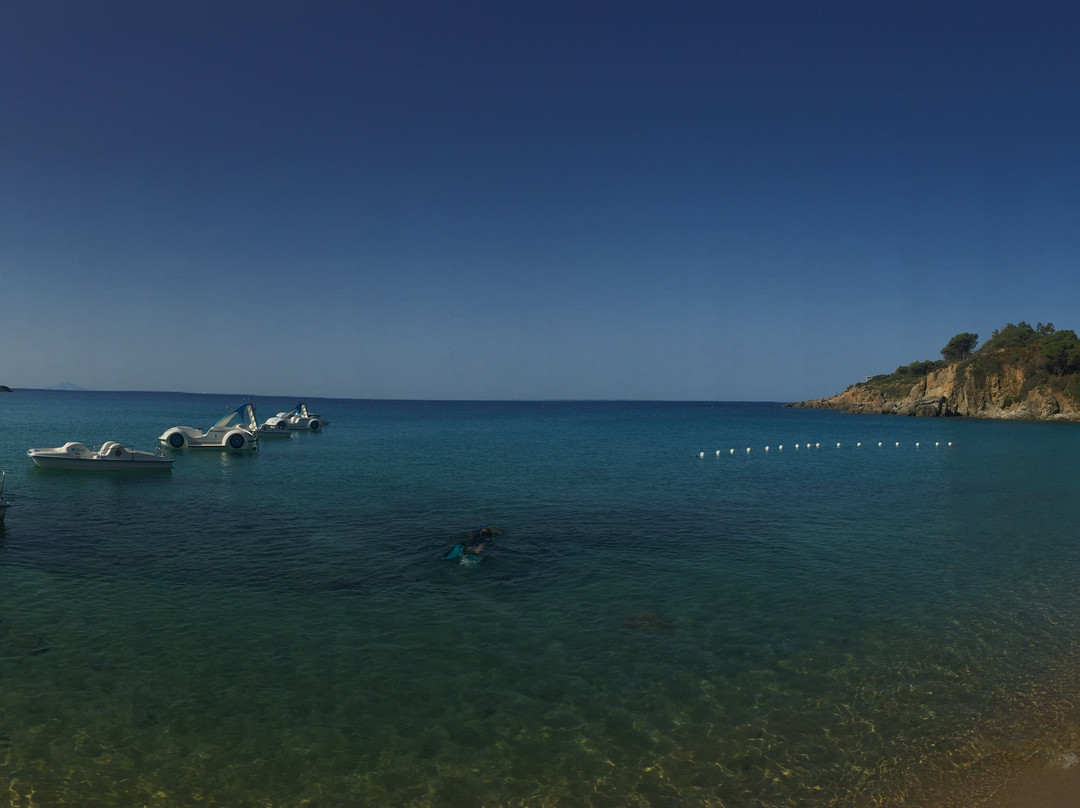 Spiaggia di Cavoli景点图片