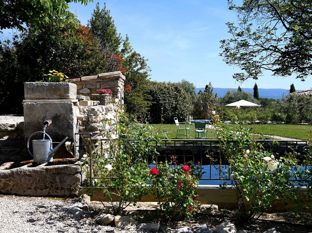 Mas des Olives主图