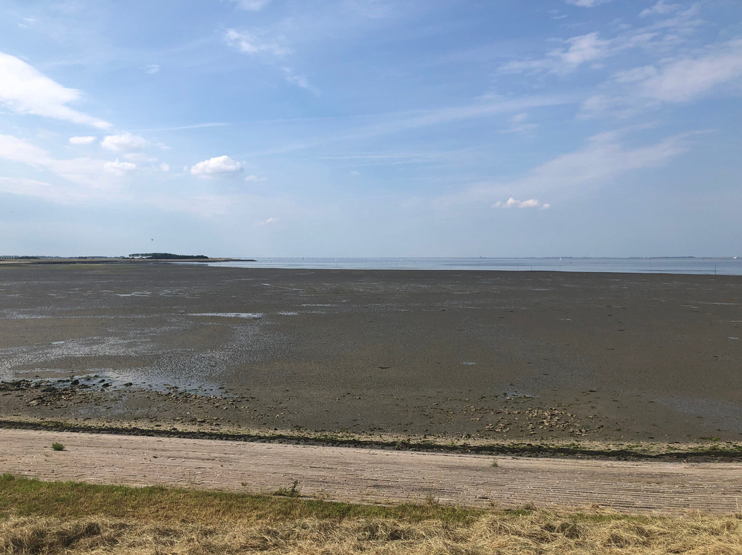 Nationaal Park Oosterschelde景点图片