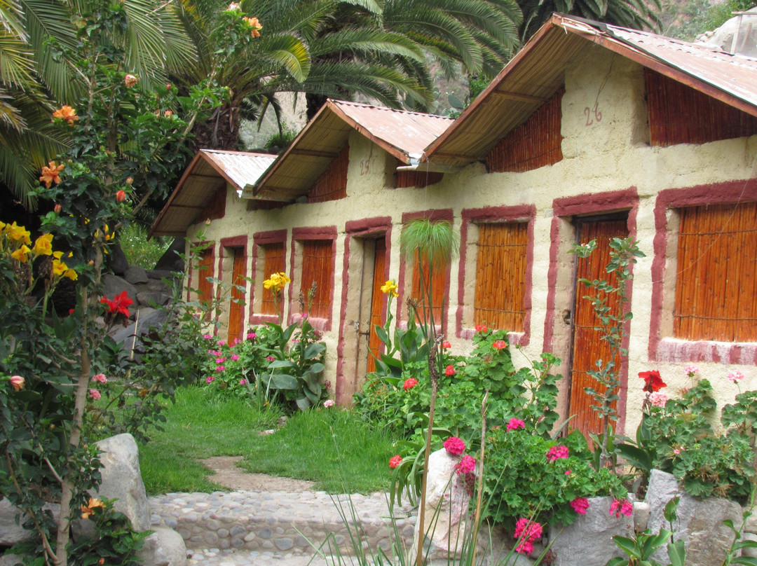 CUMBRES PERU ADVENTOURS-阿雷基帕必去景点