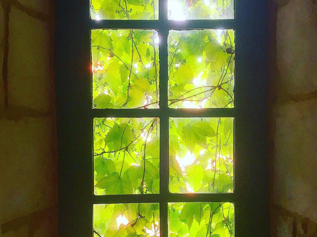 Rouge Boutique Hotel主图