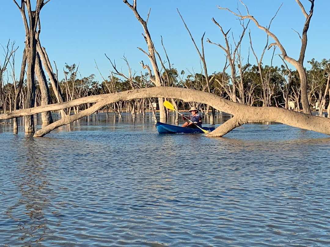 Lara Wetlands景点图片