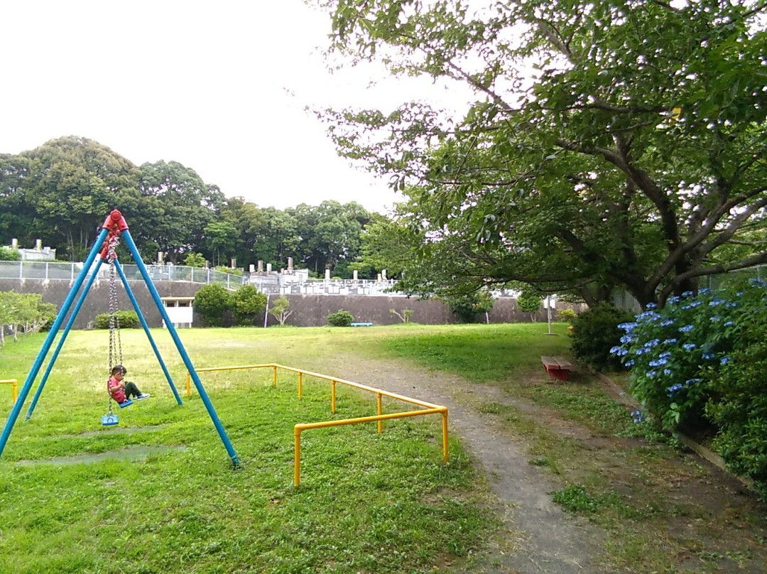 Sakura Park景点图片