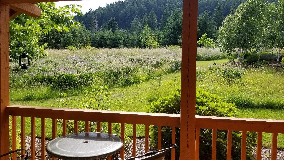 Carson Ridge Luxury Cabins主图