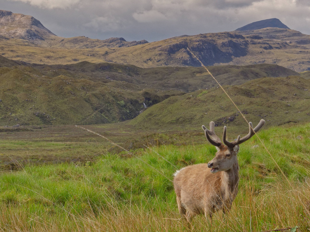 Glen Torridon景点图片