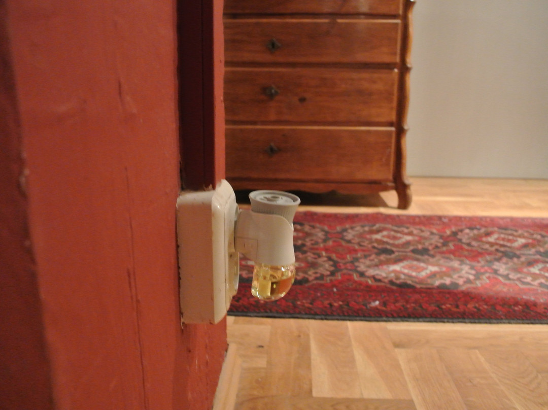 Gutenberger Hotel主图