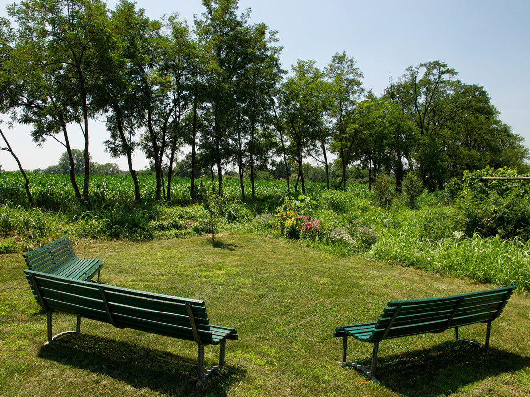 Bed and Breakfast Cascina delle Mele主图