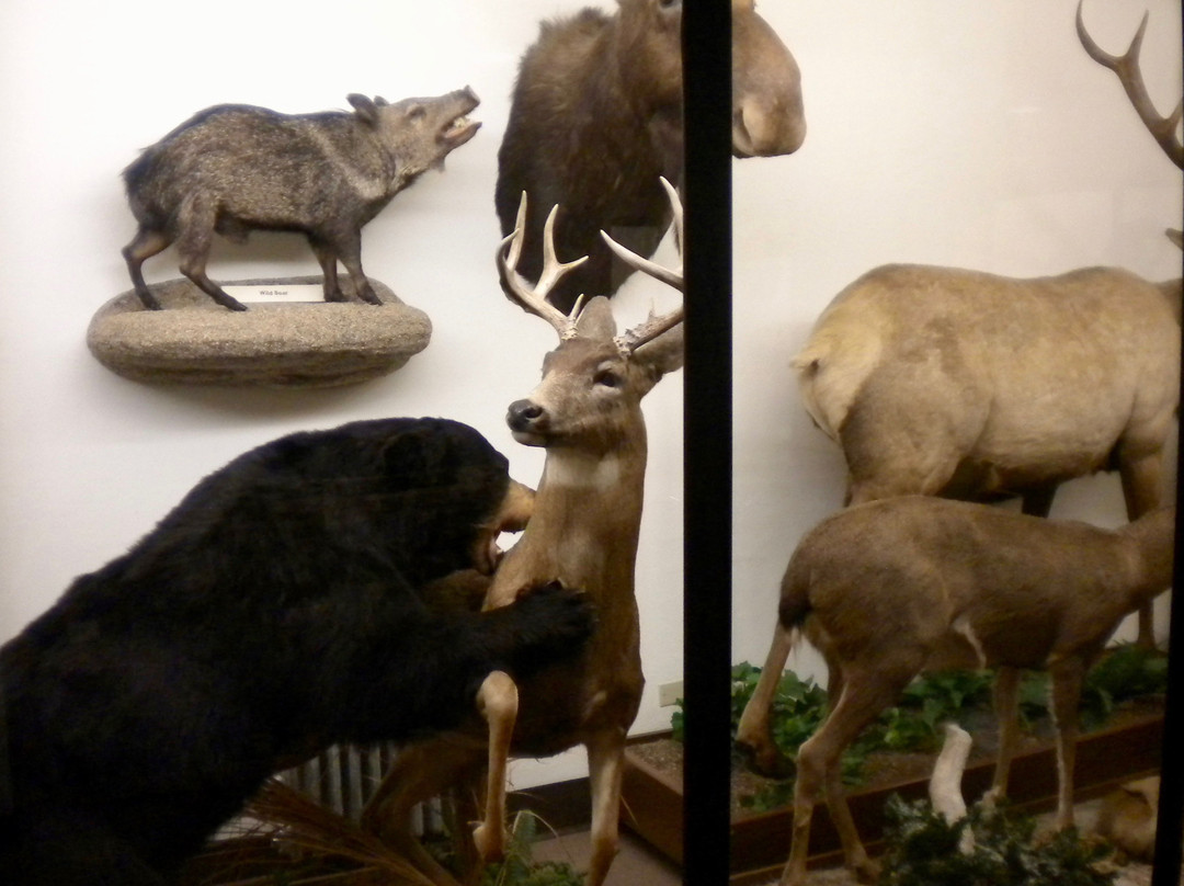 Mount Angel Abbey-Saint Benedict必去景点