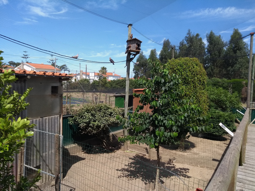 Jardim dos Bichos e Viveiros Batalha景点图片