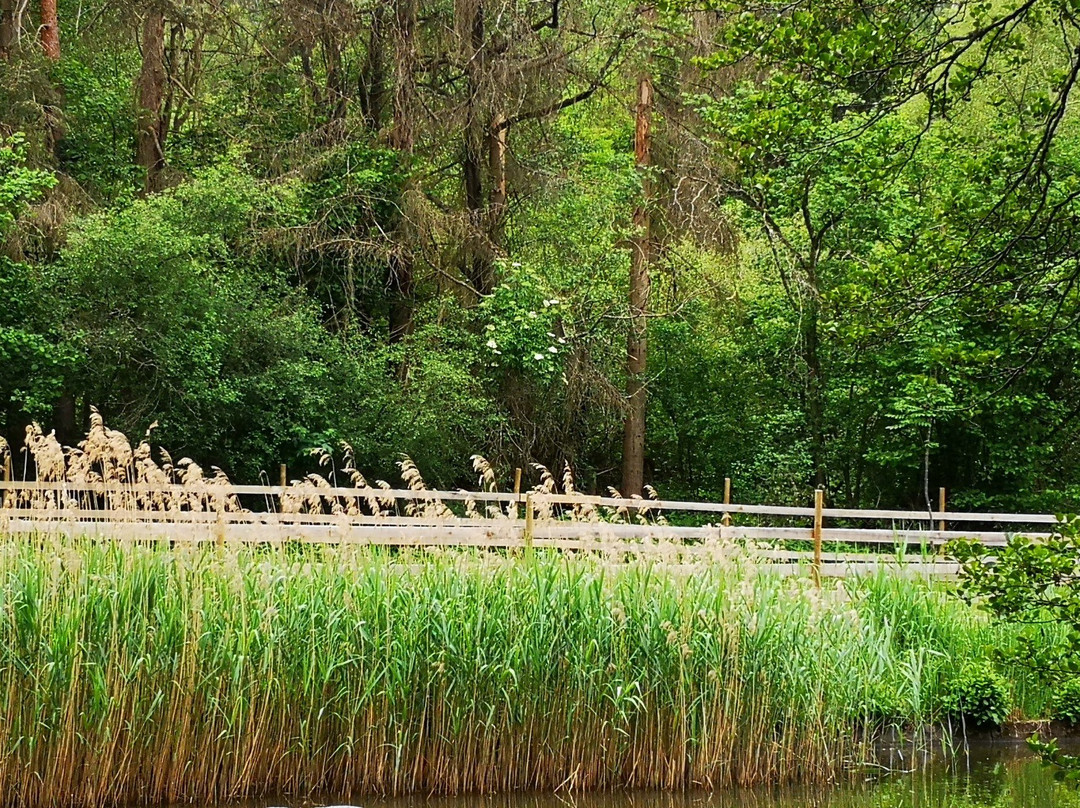 Hotel Restaurant Herrmannsee主图