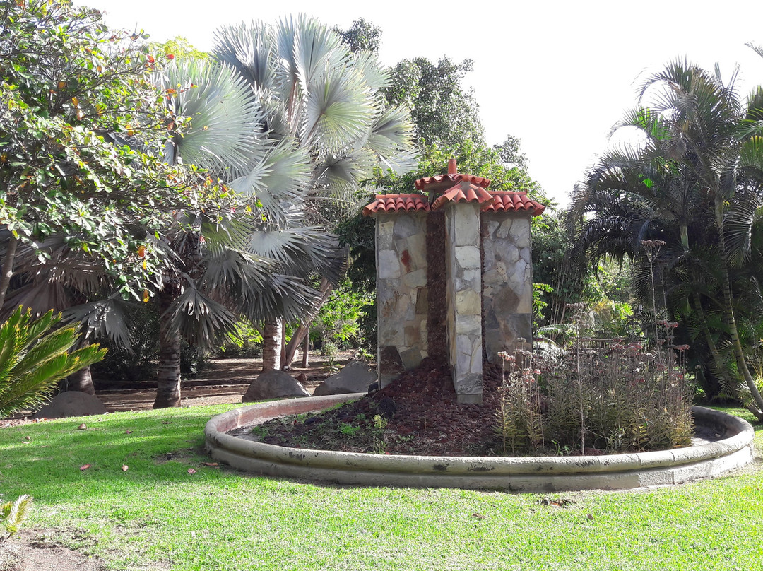 Botanical Park of Maspalomas (El Parque Botanico de Maspalomas)景点图片